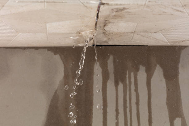Professional Structural Drying technician working in Eitzen, MN